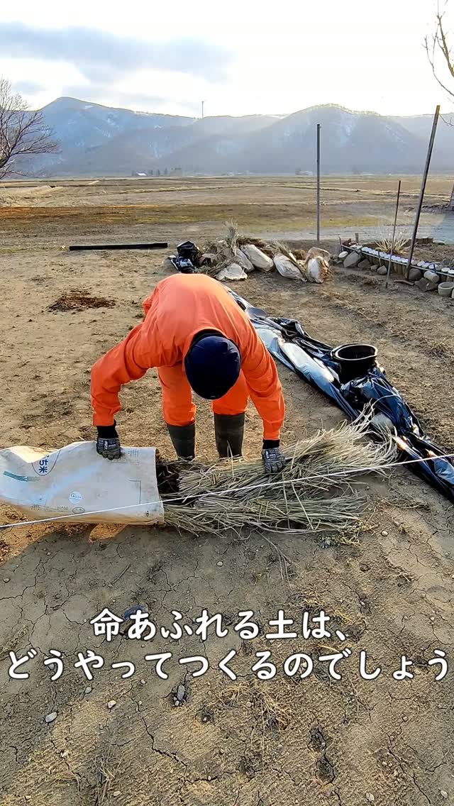 今年は新しい菜園を作っています再生農法を学ぶ場にしたいですまだまだ初心者なんですけど、失敗しながらいろいろ試していきたいと思います!#再生農法 #家庭菜園 #北海道暮らし #田舎暮らし #regenerativefarming
